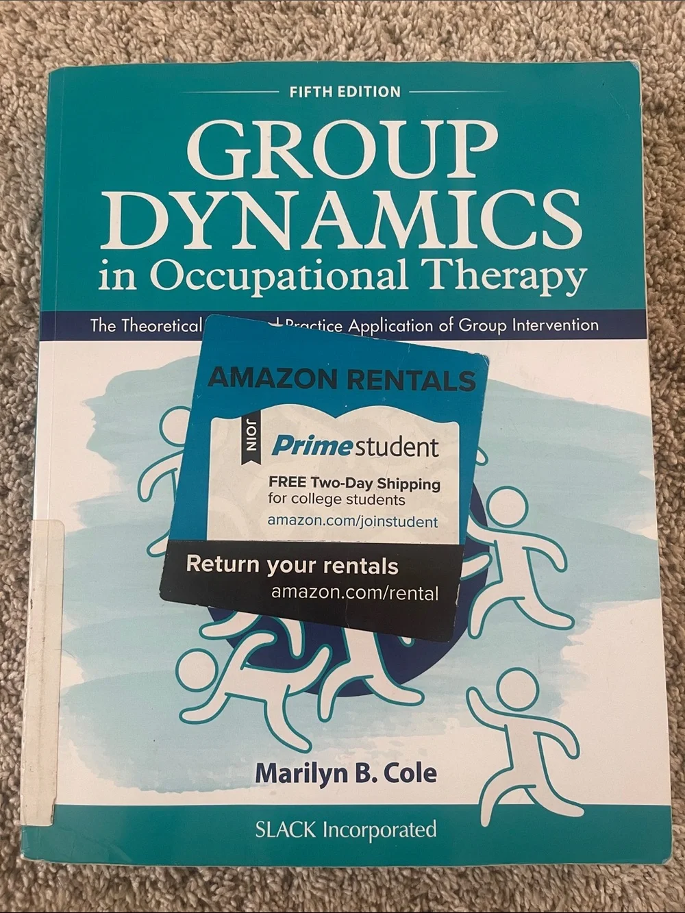 Group dynamics in occupational therapy textbook